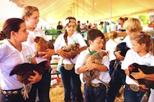 4-H kids at 2015 Farm Fair